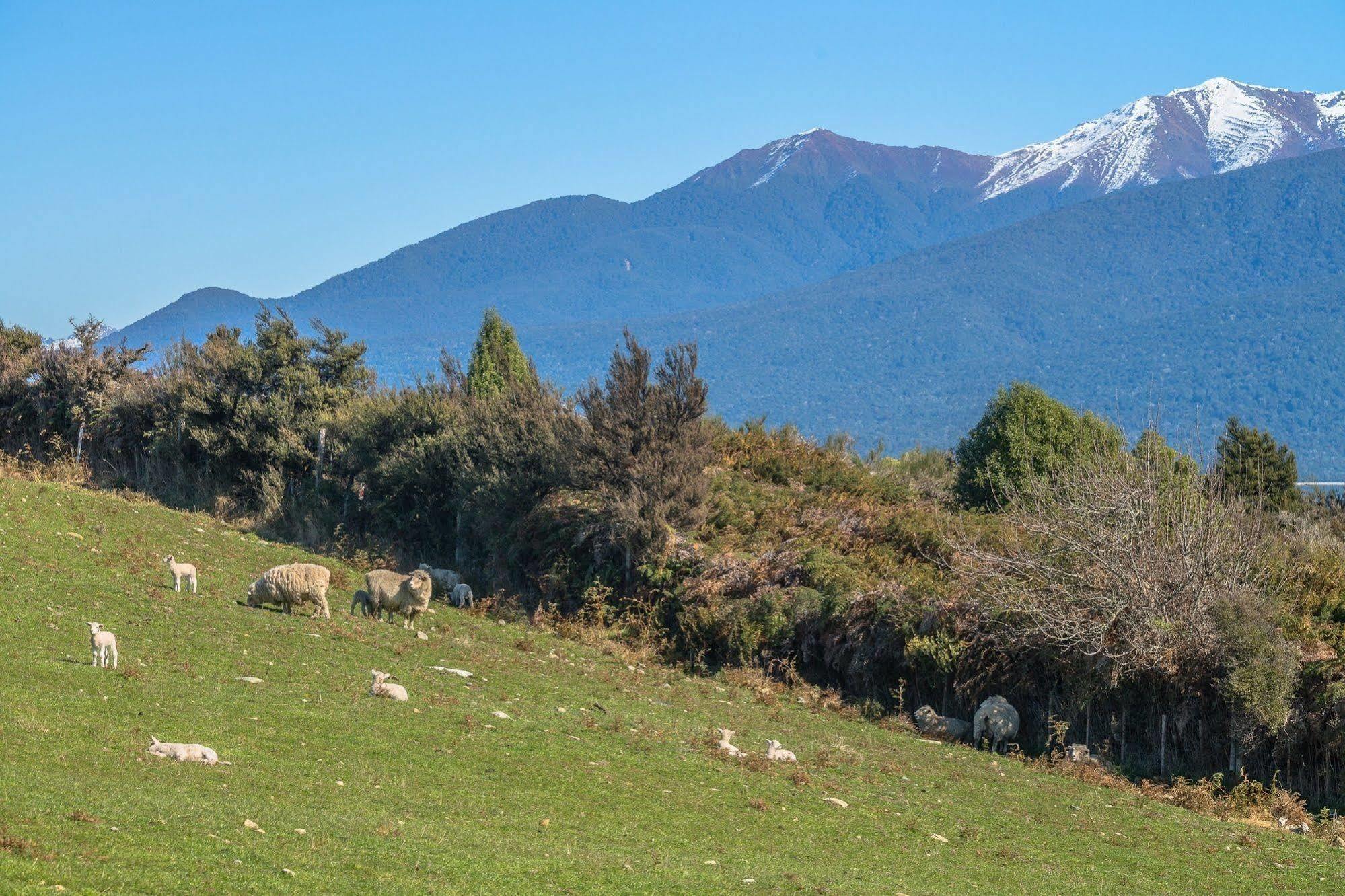 Loch Vista Bed&Breakfast Te Anau Exterior foto